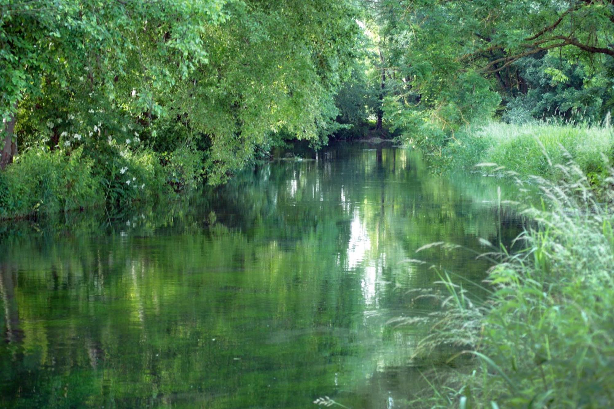 Landgasthof Adler Rammingen Bagian luar foto